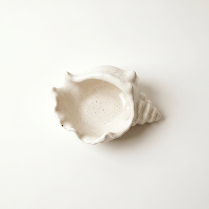 Conch Shell Bowl, Gypsum White 6" Sunsum® Intentional Living