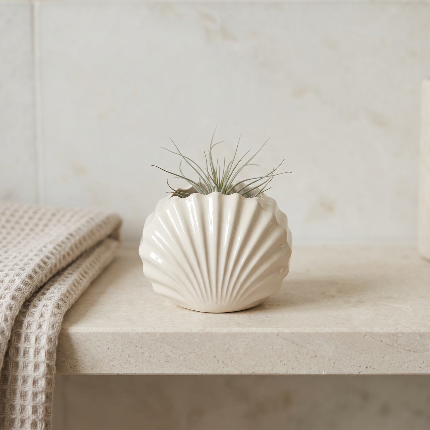 Mini Clam Shell Planter, Gypsum White 3" Sunsum® Intentional Living