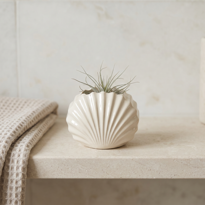 Mini Clam Shell Planter, Gypsum White 3" Sunsum® Intentional Living
