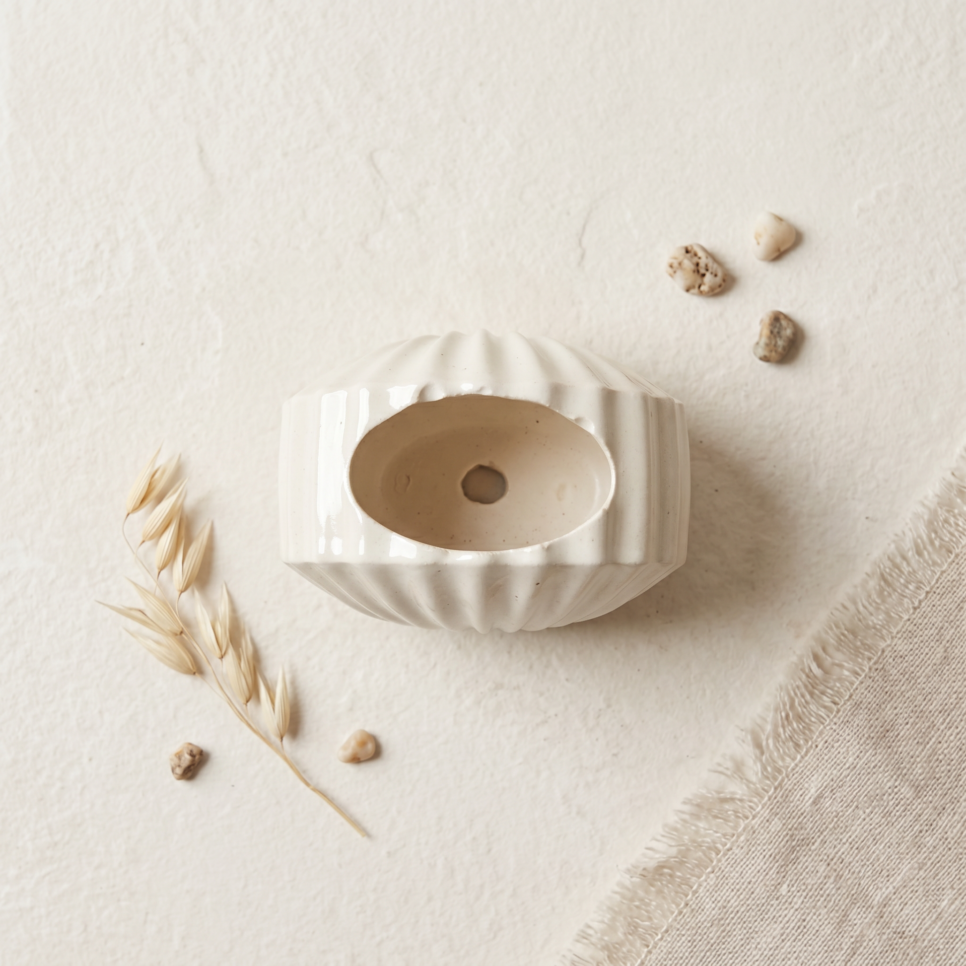 Mini Clam Shell Planter, Gypsum White 3" Sunsum® Intentional Living