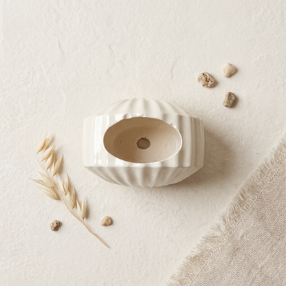 Mini Clam Shell Planter, Gypsum White 3" Sunsum® Intentional Living