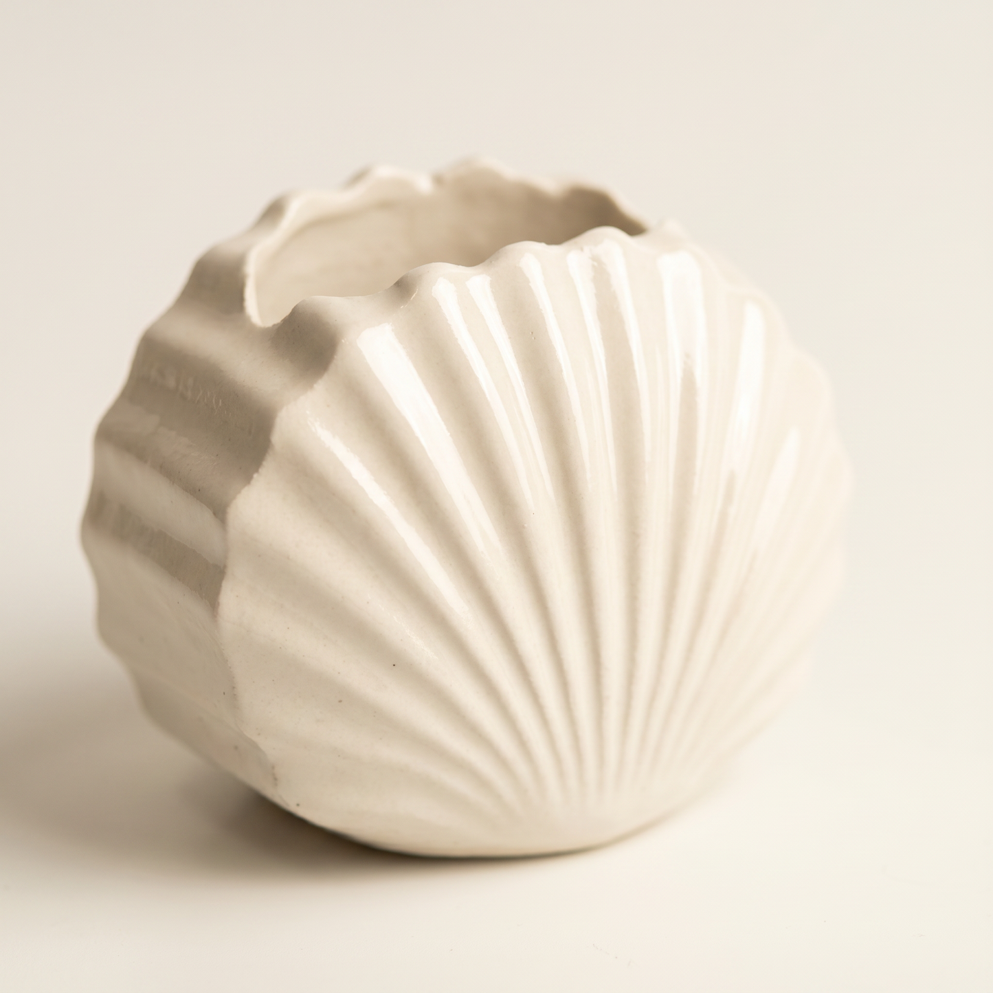 Mini Clam Shell Planter, Gypsum White 3" Sunsum® Intentional Living