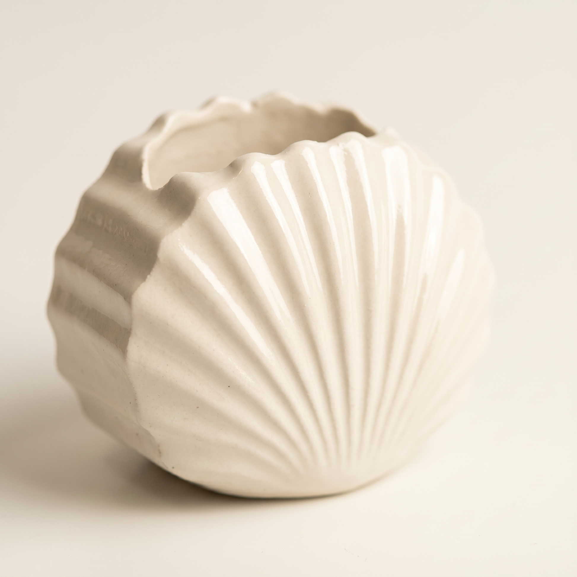 Mini Clam Shell Planter, Gypsum White 3" Sunsum® Intentional Living
