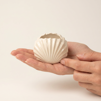 Mini Clam Shell Planter, Gypsum White 3" Sunsum® Intentional Living