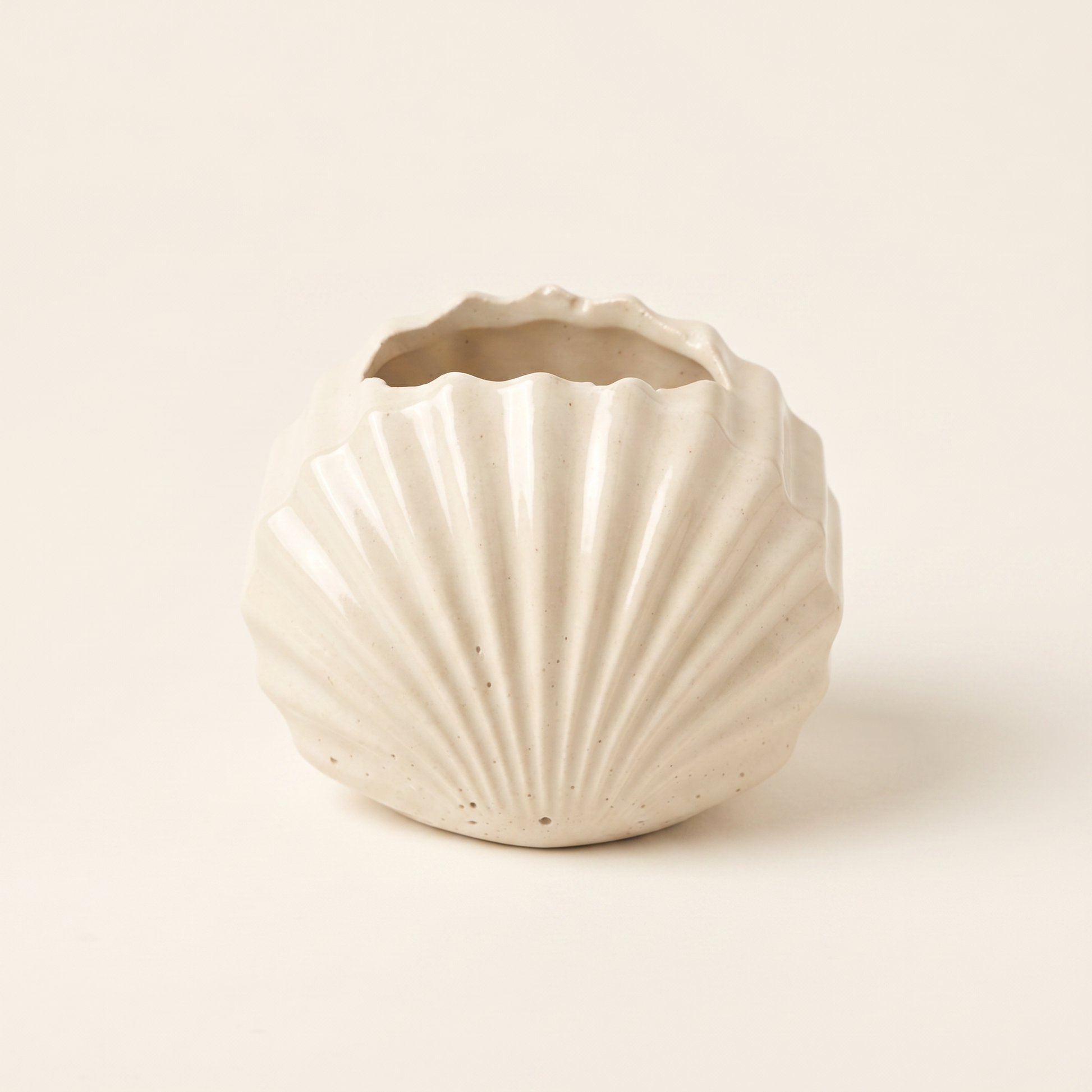 Mini Clam Shell Planter, Gypsum White 3" Sunsum® Intentional Living