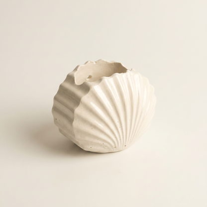 Mini Clam Shell Planter, Gypsum White 3" Sunsum® Intentional Living