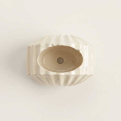 Mini Clam Shell Planter, Gypsum White 3" Sunsum® Intentional Living