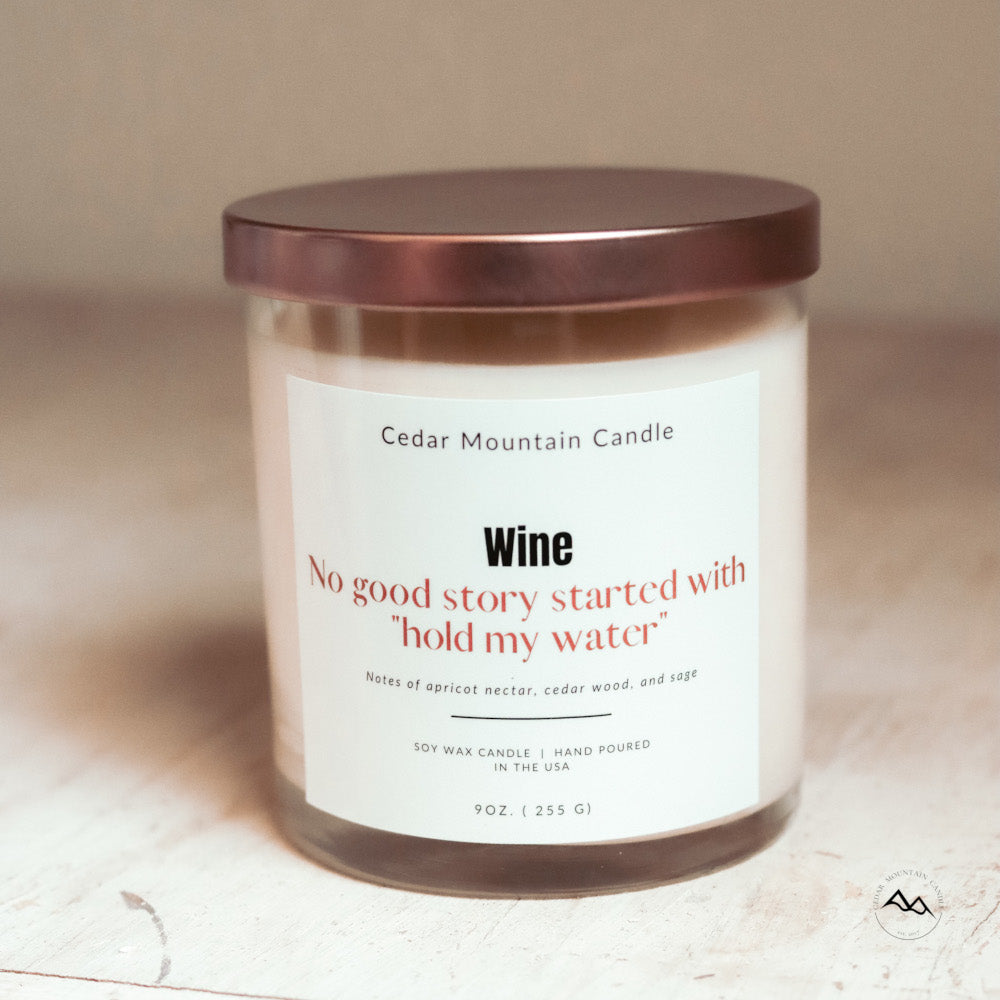 No Good Story Started with "Hold My Water" - 9 oz Soy Candle - PoshaBella