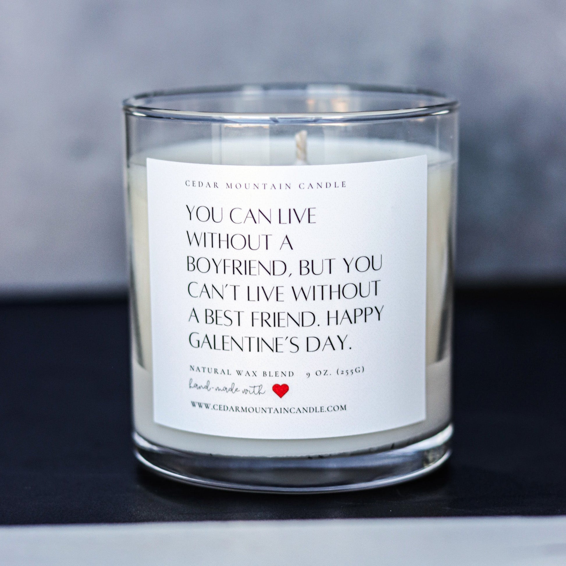 "You can live without.." Galentine's Day 9 oz Whiskey Glass Jar Soy Candle - Choose Your Scent - PoshaBella